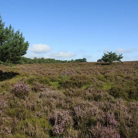 Kukeluusje Ermelo, Vlakbij Harderwijk, 4-personen Ermelo