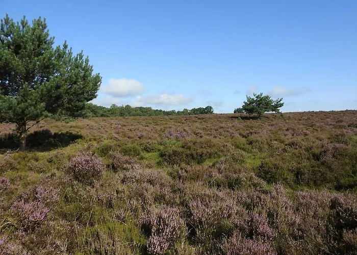 Kukeluusje Ermelo, Vlakbij Harderwijk, 4-personen Ermelo